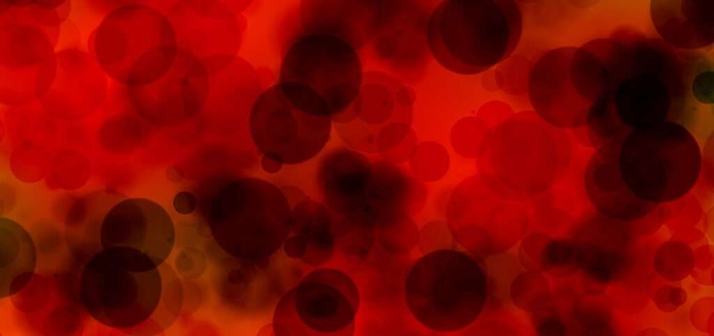 plasma, blood cells, magnification