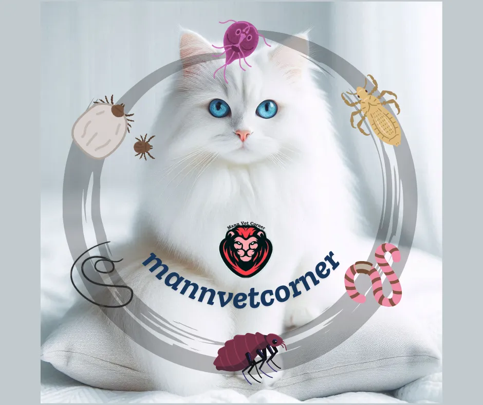 common parasites of cats