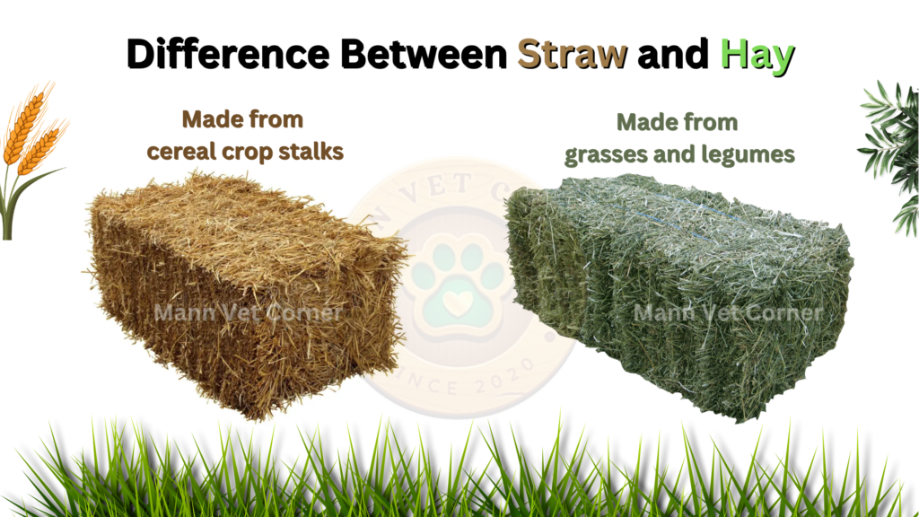 Difference between hay and straw
