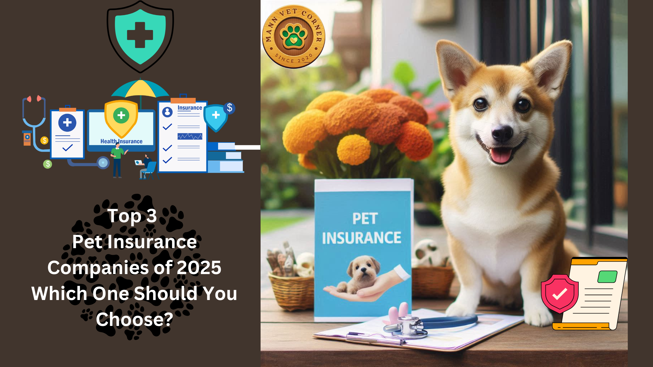 top pet insruance