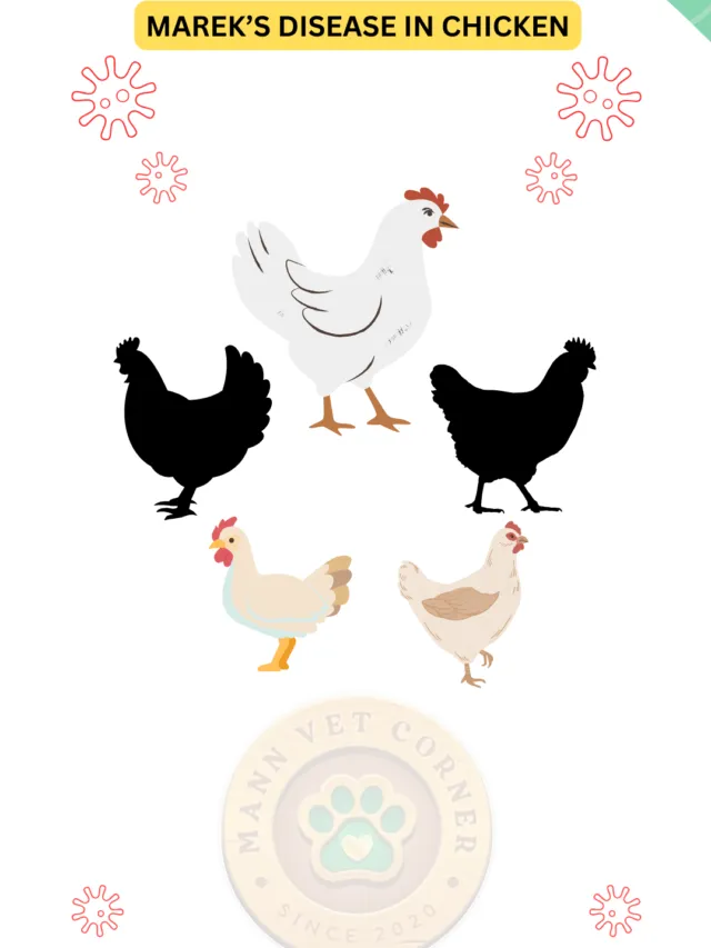 Marek’s Disease in Chickens