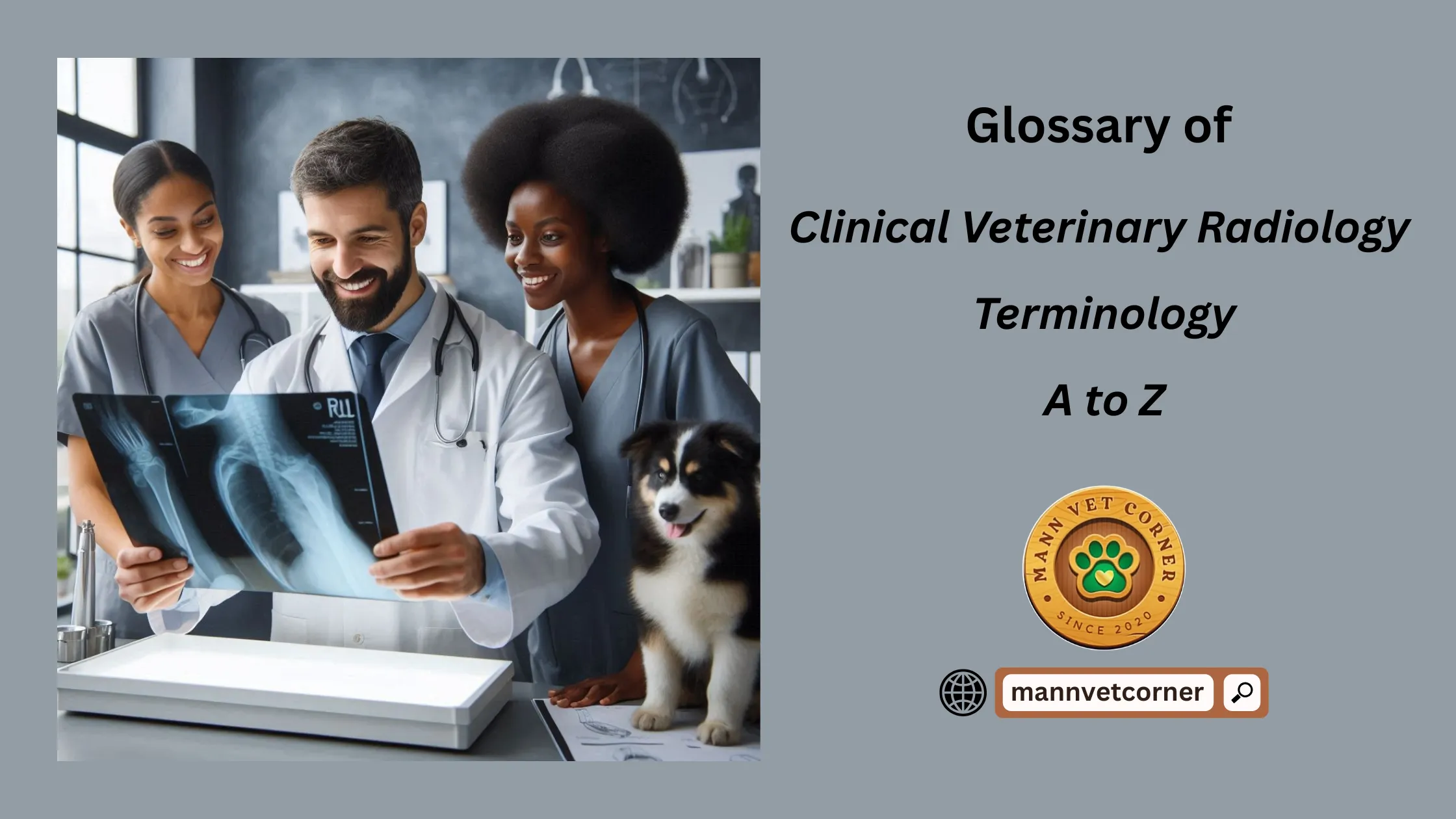 clinical vet radiology