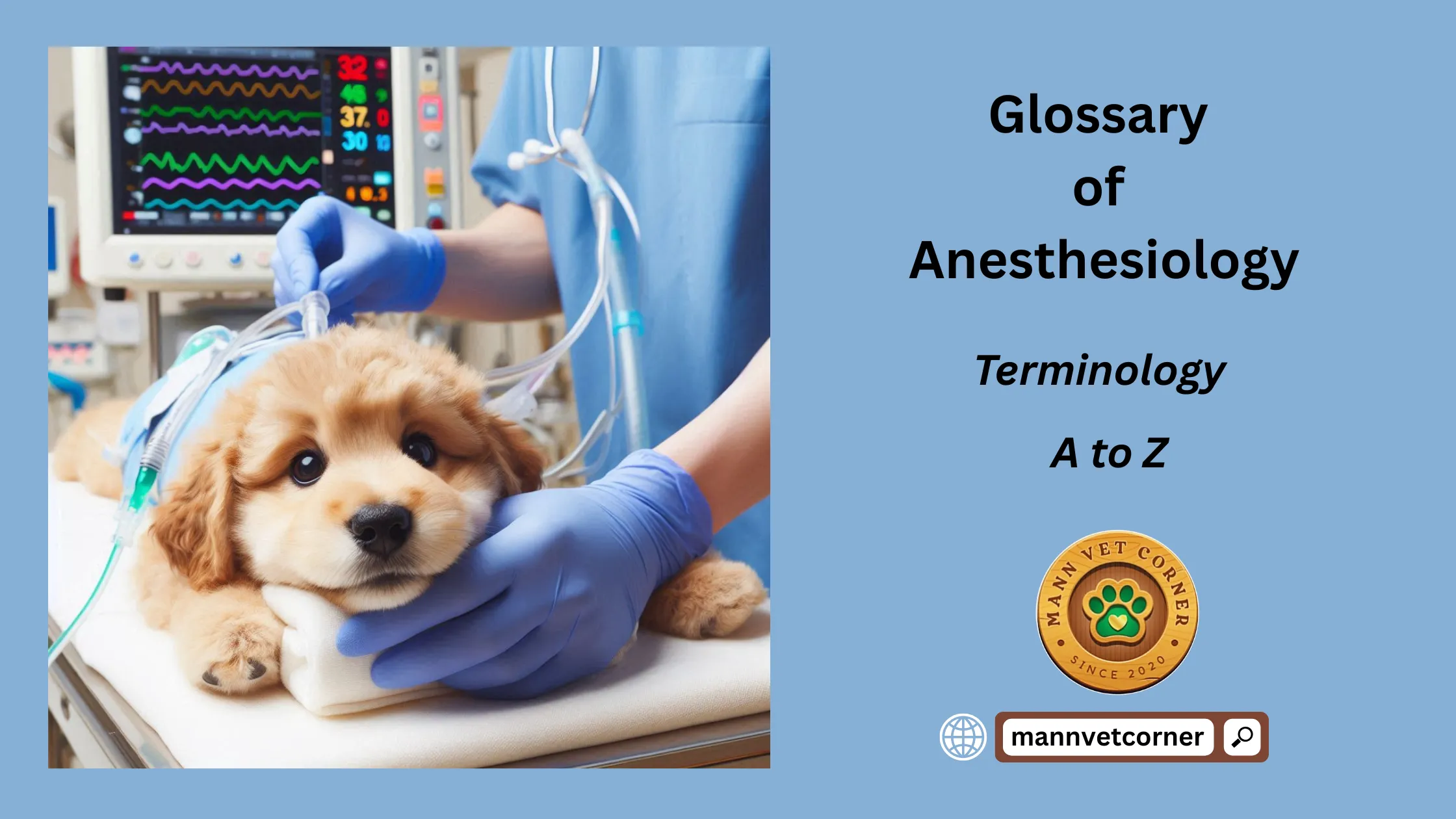 terms of Anesthesiology