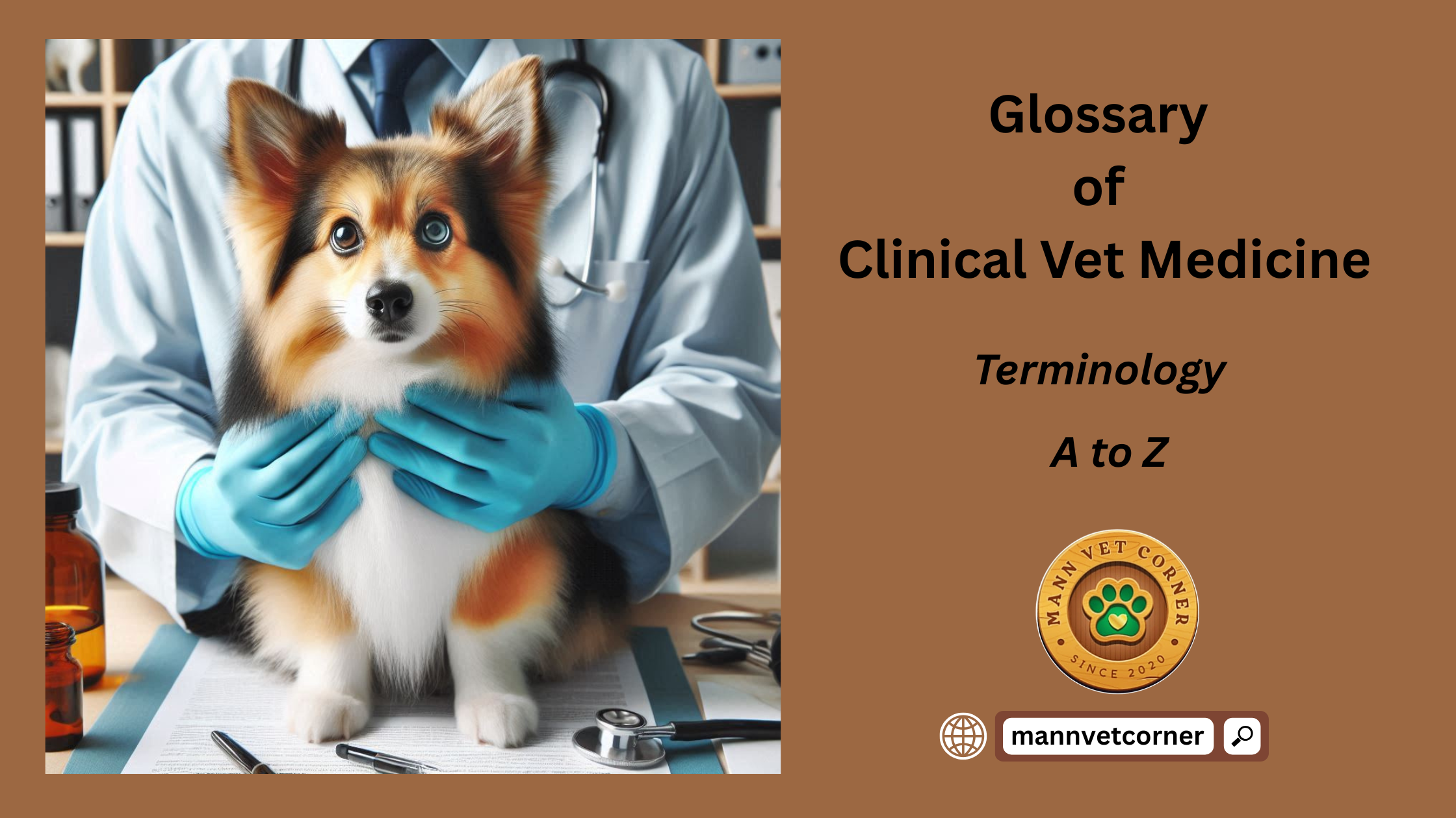 Terms of Clinical Vet Medicine