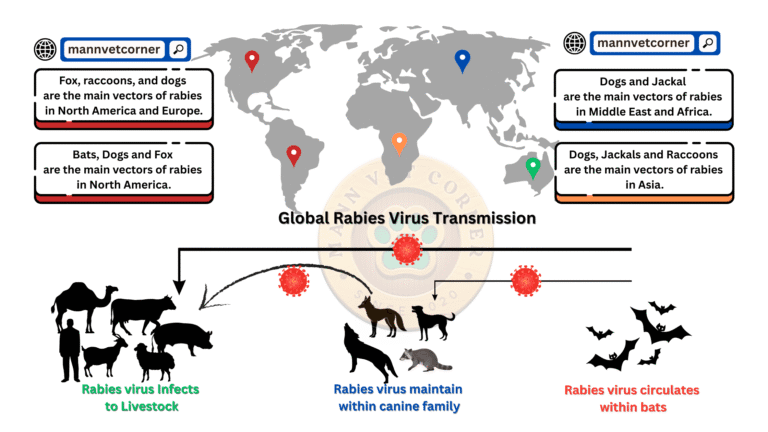 Rabies and Its Vaccine: A Global Overview of Wild Animal Carriers ...