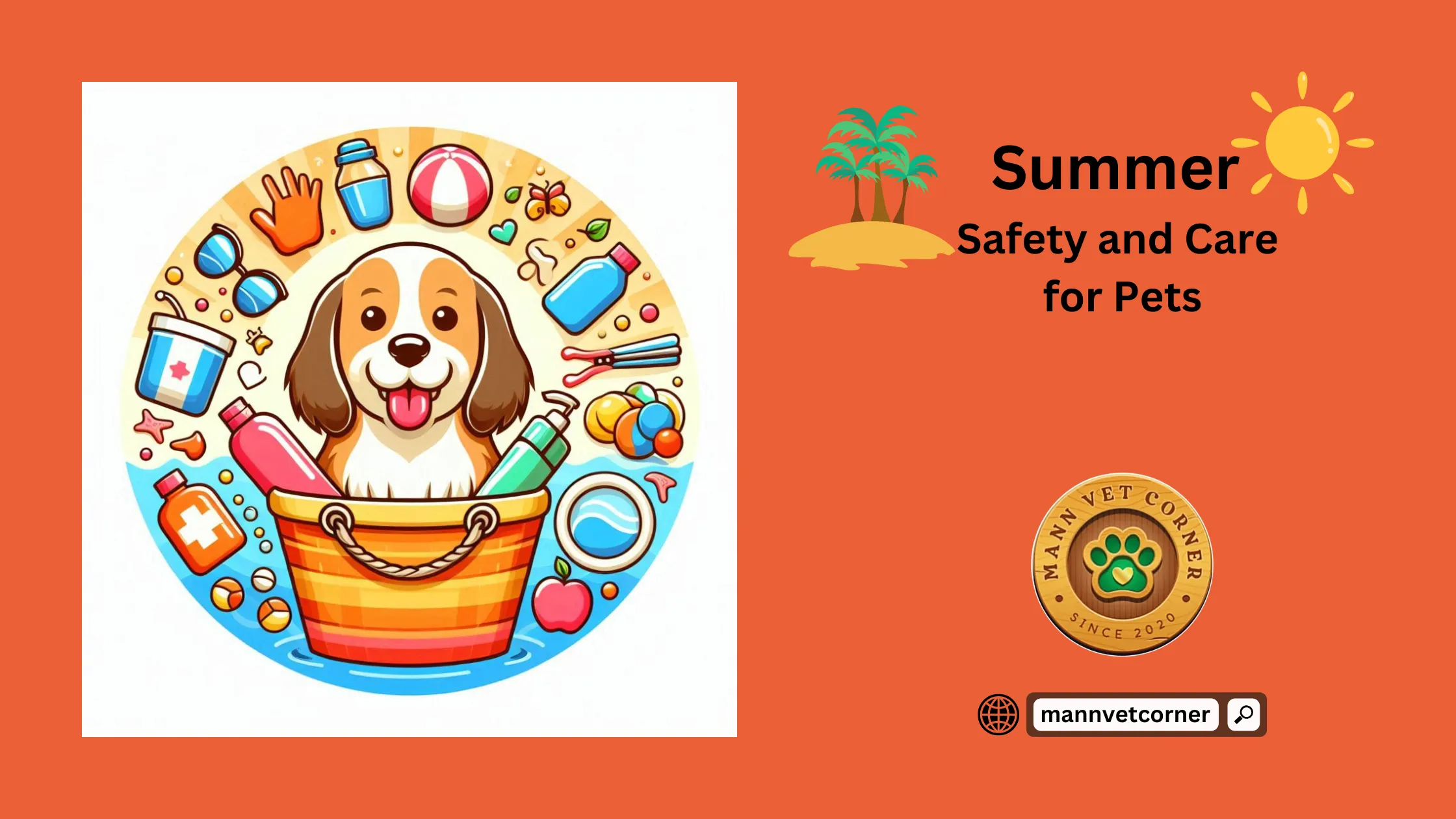 Pets safety and care in summer