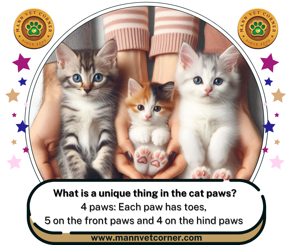 cats paws