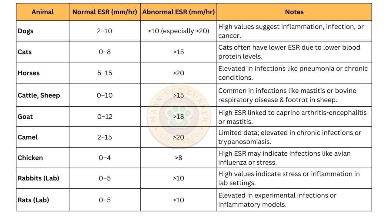ESR: A Key Tool in Veterinary Clinical Pathology - mannvetcorner