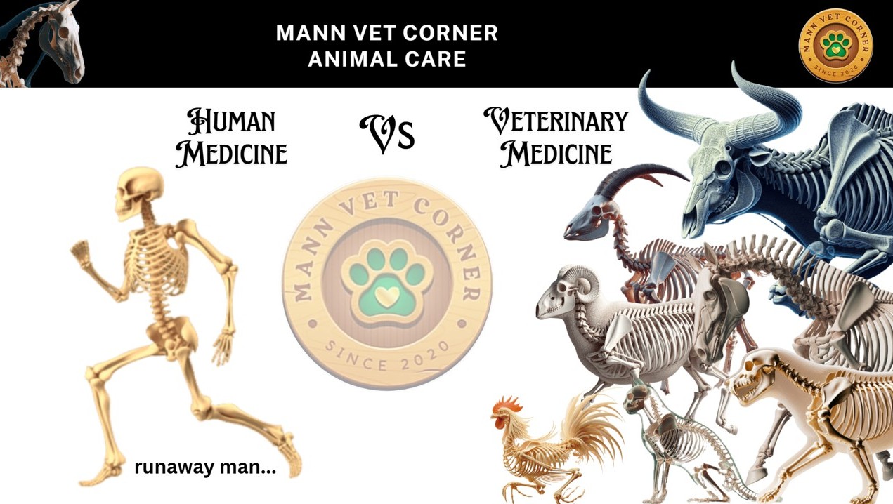 Mann Vet Corner Pet Care