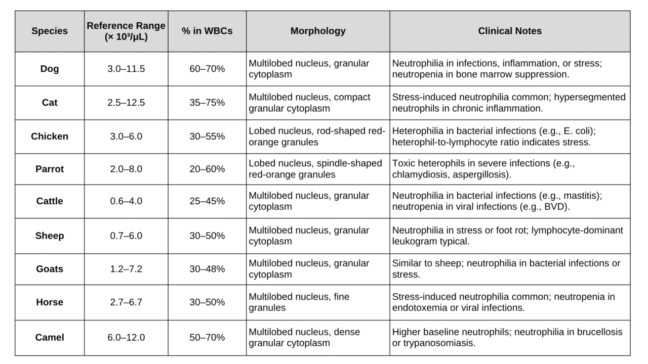 Animal Rbcs White Blood Cells in Different Animals - mannvetcorner