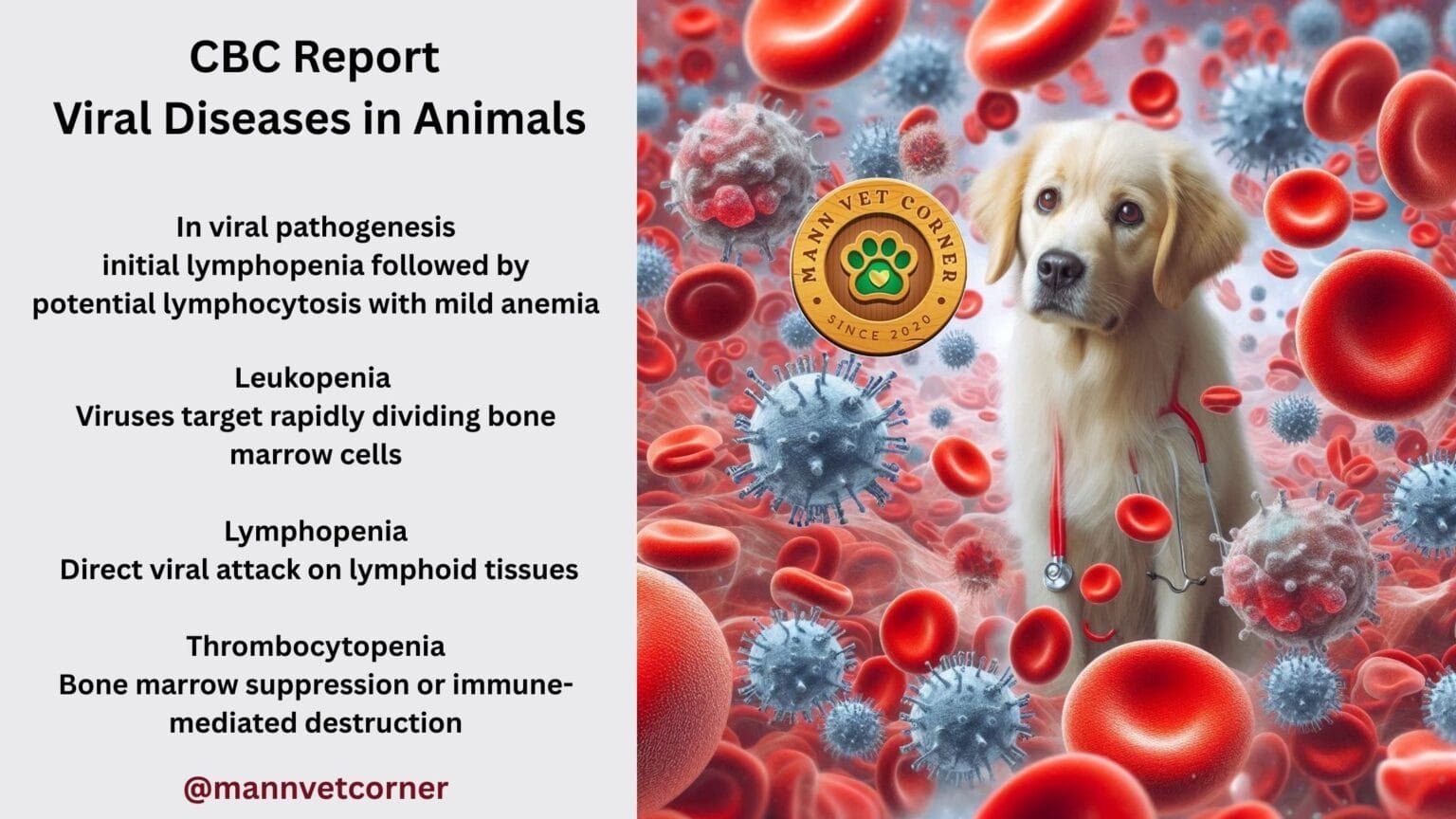 Complete Blood Count (CBC) Report: Viral Diseases in Animals ...