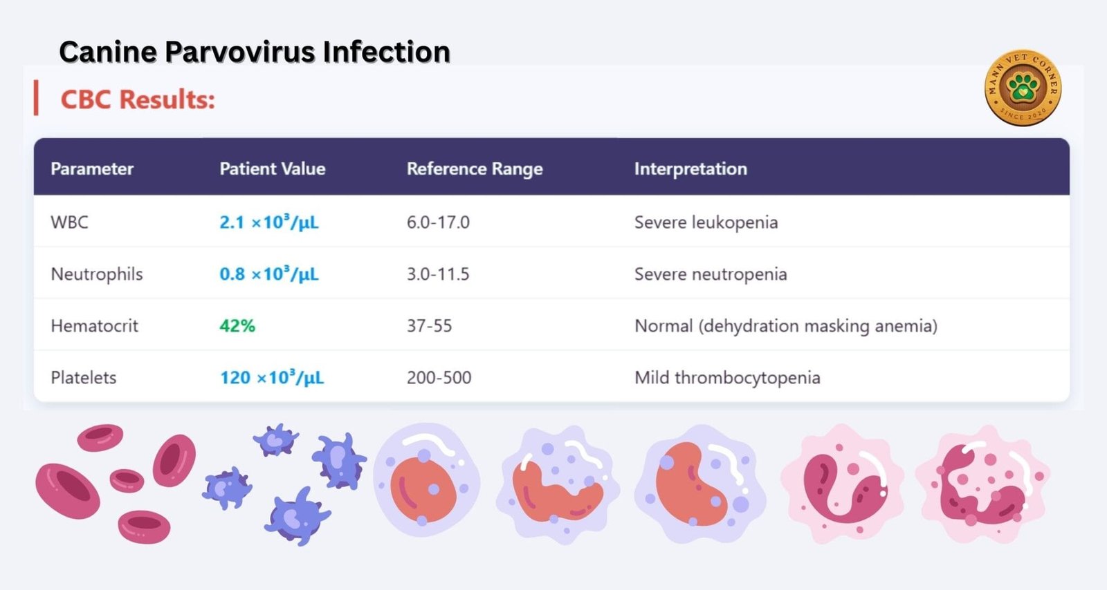 CBC Report in Animal Disease Diagnosis: A Clinical Guide - mannvetcorner