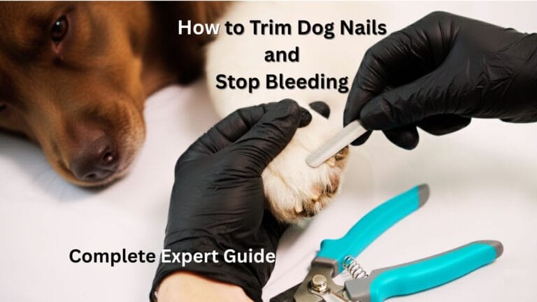 How To Sedate A Dog For Nail Clipping: 6 Useful Tips - PupVine