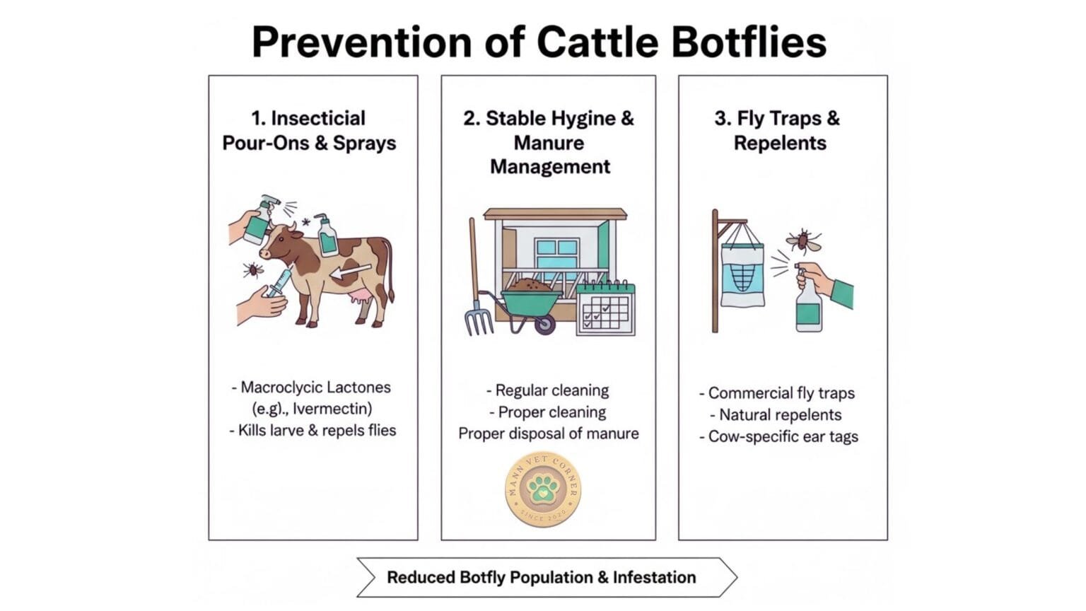 Cattle Botflies: Signs, Life Cycle, Pathogenesis, Treatment ...