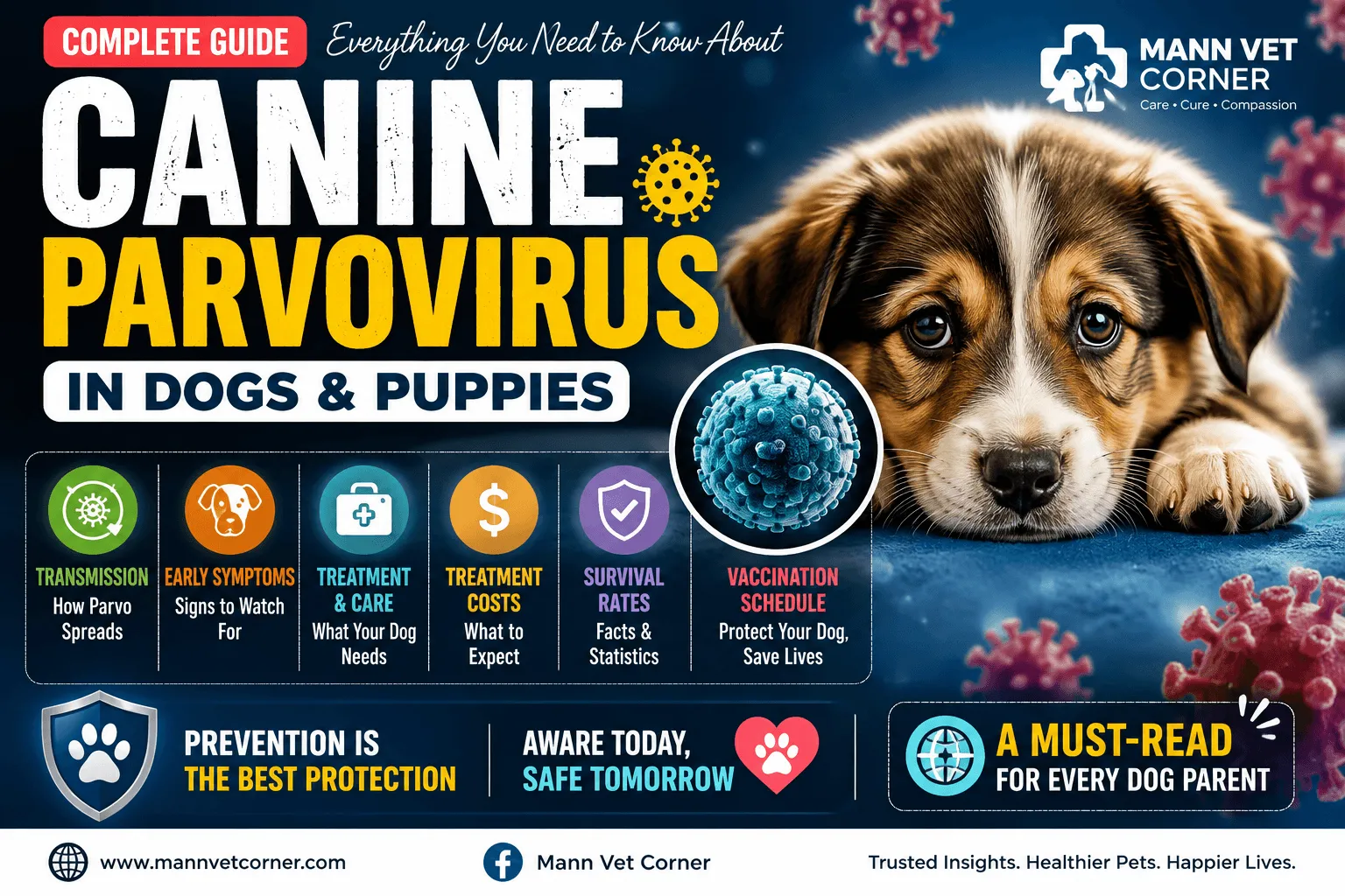 Canine Parvovirus: Causes, Symptoms, Prevention, and Treatment